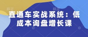 直通车实战系统：低成本询盘增长课，让个人通过技能实现升职加薪，让企业低成本获客，订单源源不断-铭创资源库