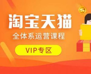 淘宝天猫全体系运营课程：店铺全系运营、动销玩法、付费推广、流量提升、擦边球玩法等等-铭创资源库