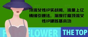 顶流女性IP实战班，流量上亿情绪引爆法，深度打磨顶流女性IP硬核基本功-铭创资源库