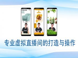 个人虚拟直播间的搭建与操作，专业虚拟直播间的打造与操作-铭创资源库