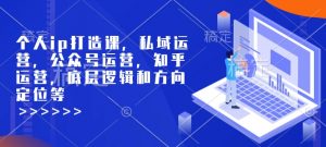 个人ip打造课,私域运营,公众号运营,知乎运营,底层逻辑和方向定位等-铭创资源库