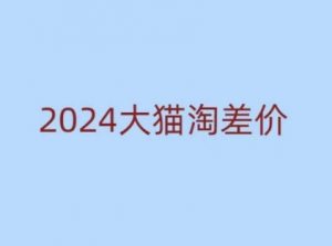 2024版大猫淘差价课程，新手也能学的无货源电商课程-铭创资源库