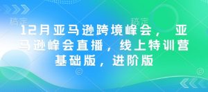 12月亚马逊跨境峰会， 亚马逊峰会直播，线上特训营基础版，进阶版-铭创资源库