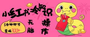 小红书冷知识账号,无脑复制粘贴,5分钟即可变现3张-铭创资源库