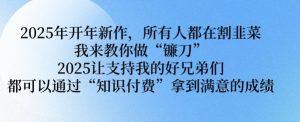 2025年开年新作,所有人都在割韭菜,我来教你做“镰刀” 2025让支持我的好兄弟们都可以通过“知识付费”拿到满意的成绩【揭秘】-铭创资源库