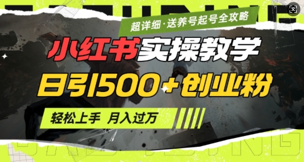 2月小红书最新日引500+创业粉实操教学【超详细】小白轻松上手，月入1W+，附小红书养号起号SOP-铭创资源库