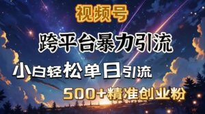 跨平台暴力引流,私域完美闭环,日引500+精准创业粉-铭创资源库