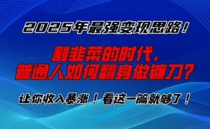 2025年最强变现思路，割韭菜的时代， 普通人如何翻身做镰刀？【揭秘】-铭创资源库