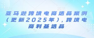 亚马逊跨境电商选品案例(更新2025年2月)，跨境电商利基选品-铭创资源库