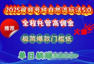 2025视频号纯自然流玩法5.0，全程托管高佣金，极简爆款门槛低，单日收益多张【揭秘】-铭创资源库