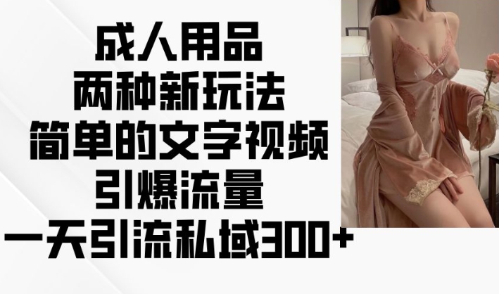 成人用品两种新玩法，简单的文字视频引爆流量，一天引流私域300+-铭创资源库