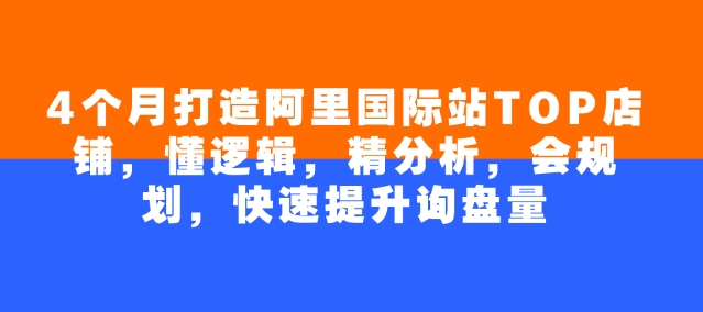 4个月打造阿里国际站TOP店铺，懂逻辑，精分析，会规划，快速提升询盘量-铭创资源库