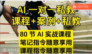 AI指令实战课，课程+案例，80节AI实战课程，笔记指令随意享用，课程指令随意享用-铭创资源库