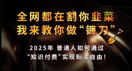 知识付费如何做到月入过W+，2025我来教你做“镰刀”【揭秘】-铭创资源库