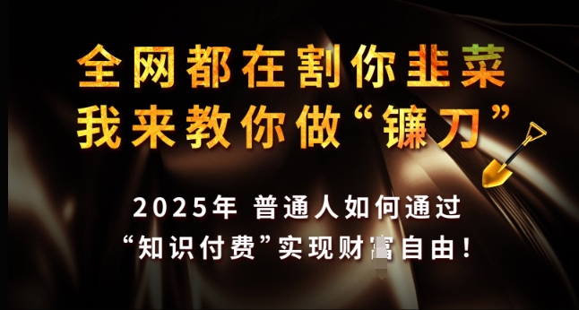 全网都在割你韭菜，我来教你做镰刀，2025年普通人如何通过 知识付费 实现财F自由【揭秘】-铭创资源库
