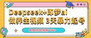 小白用DeepSeek+即梦做ai养生视频，一条作品涨粉5万+，单日收益多张-铭创资源库