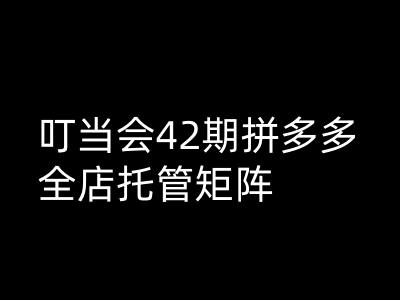 叮当会拼多多打爆班原创高阶技术第42期，拼多多全店托管矩阵-铭创资源库