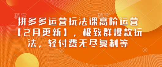 拼多多运营玩法课高阶运营【2月更新】，极致群爆款玩法，轻付费无尽复制等-铭创资源库