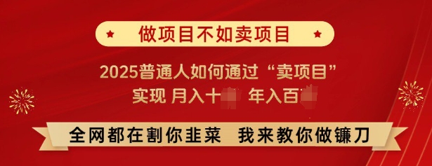 必看，做项目不如卖项目，2025普通人如何通过“卖项目”实现月入十个，年入百个-铭创资源库
