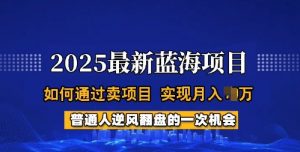 2025蓝海项目，普通人如何通过卖项目，实现月入过W，全过程【揭秘】-铭创资源库