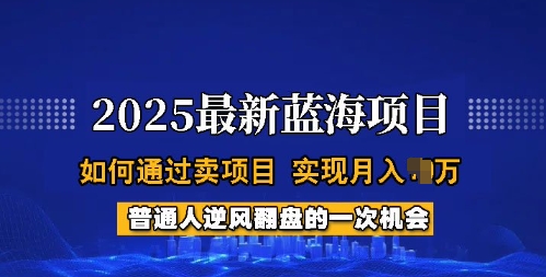 2025蓝海项目，普通人如何通过卖项目，实现月入过W，全过程【揭秘】-铭创资源库