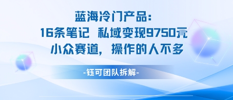 蓝海项目：16条笔记私域变现9750米小众赛道操作的人不多-铭创资源库