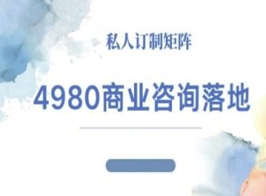 4980商业咨询师落地课程-ip运营高客单教程-铭创资源库