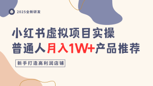 小红书虚拟项目实操指南，普通人月入1W+产品推荐，直接抄-铭创资源库